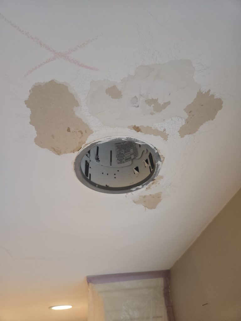 why is paint peeling